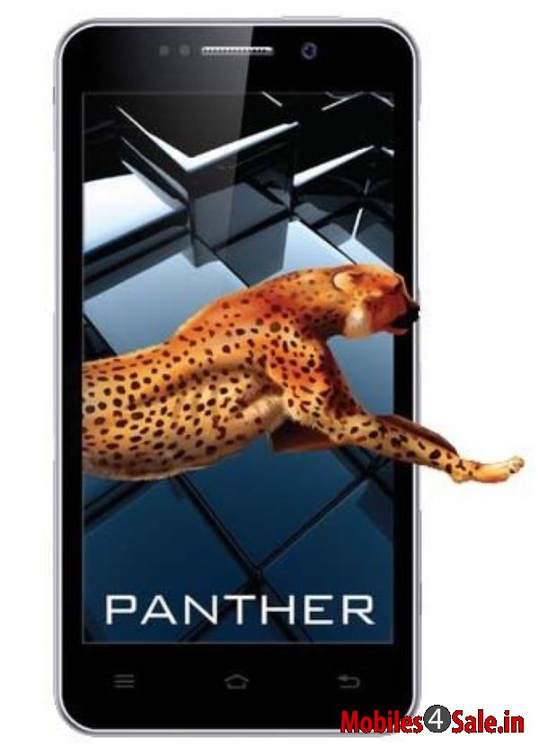 iBall Andi 5K Panther