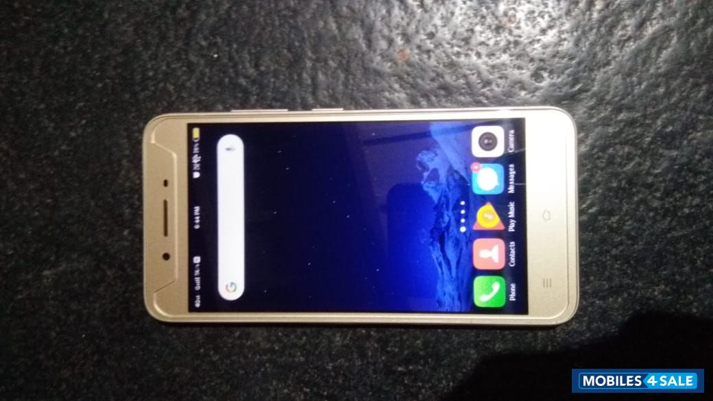 Golden Vivo  Y53