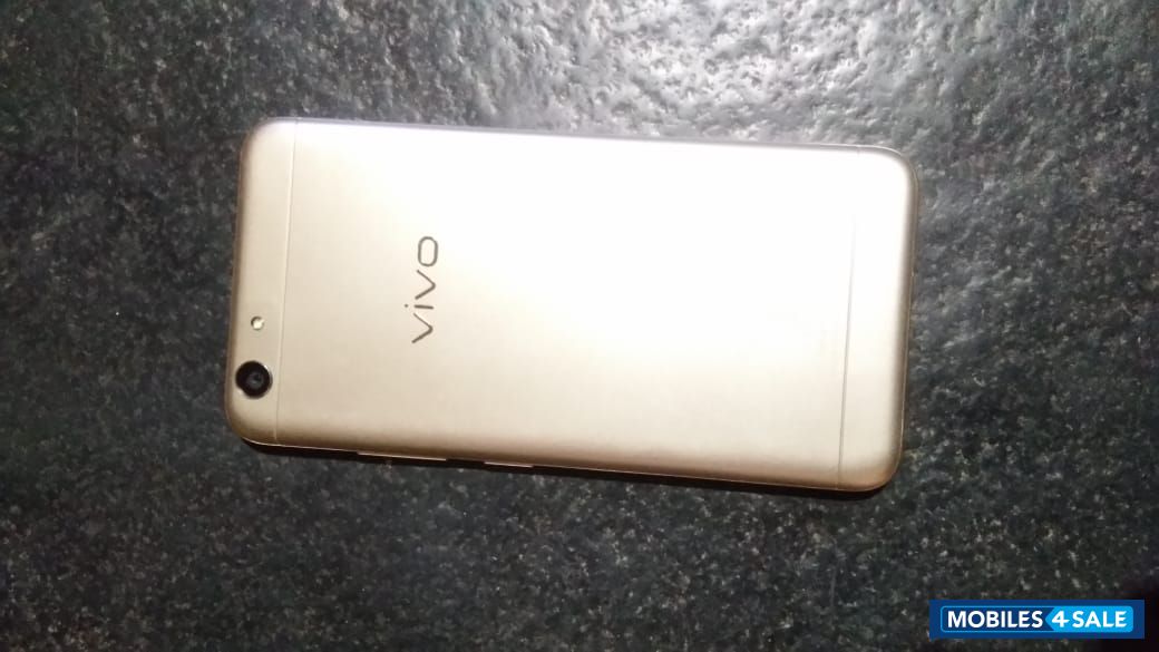 Golden Vivo  Y53
