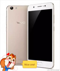 Vivo  Y69