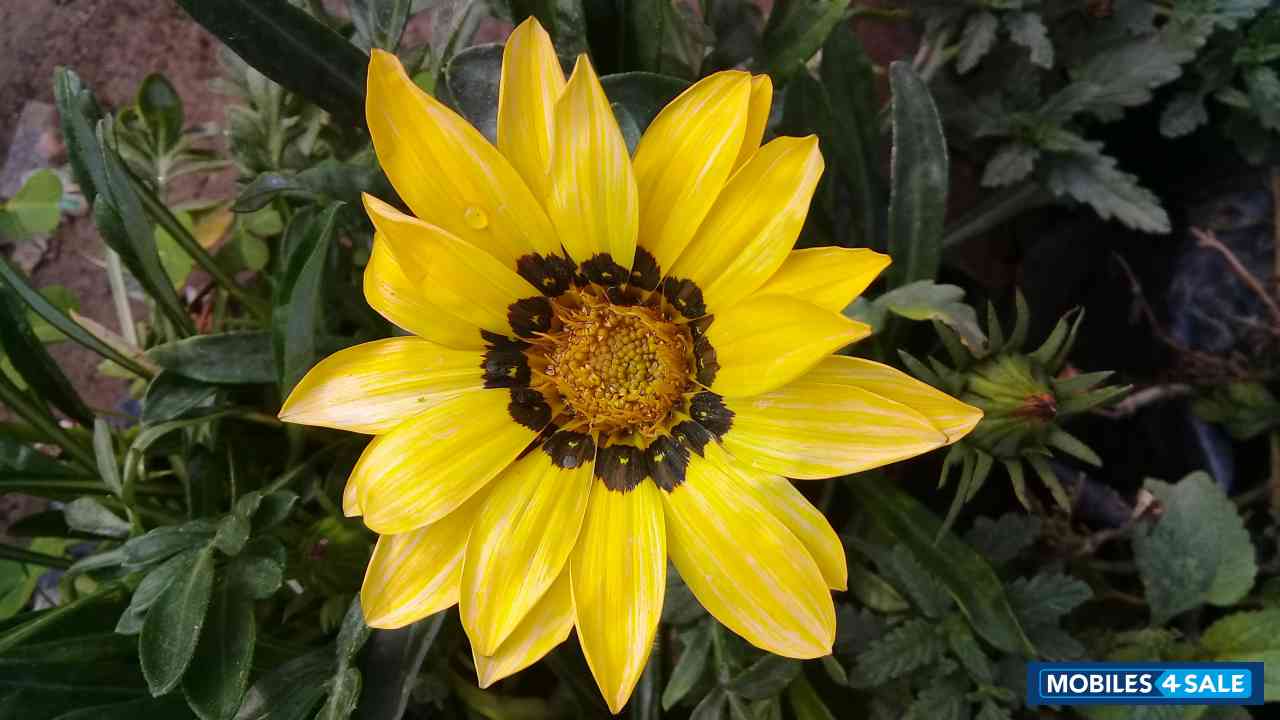 Samsung  Galaxy J2 Ace