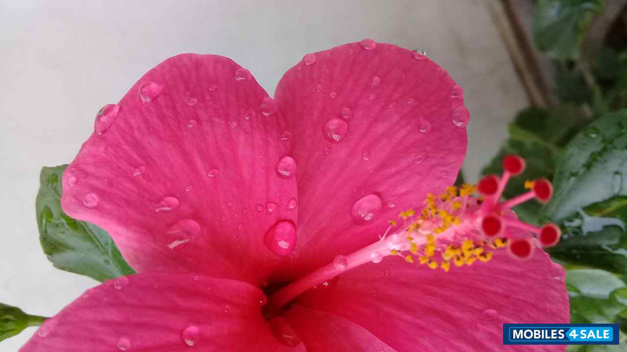 Samsung  Galaxy J2 Ace