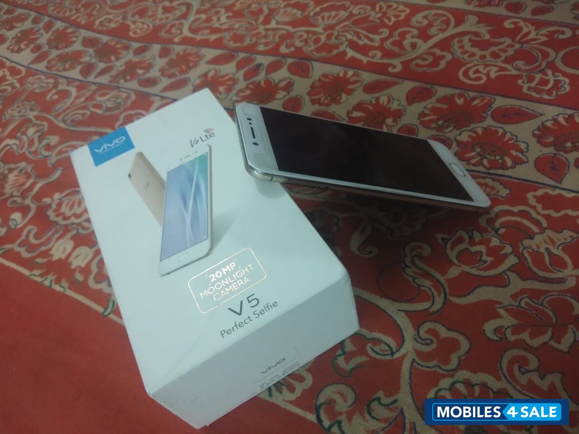 Vivo  Vivo v5s
