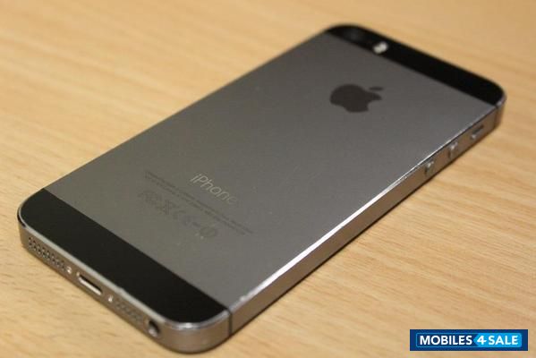 Apple  iphone5S