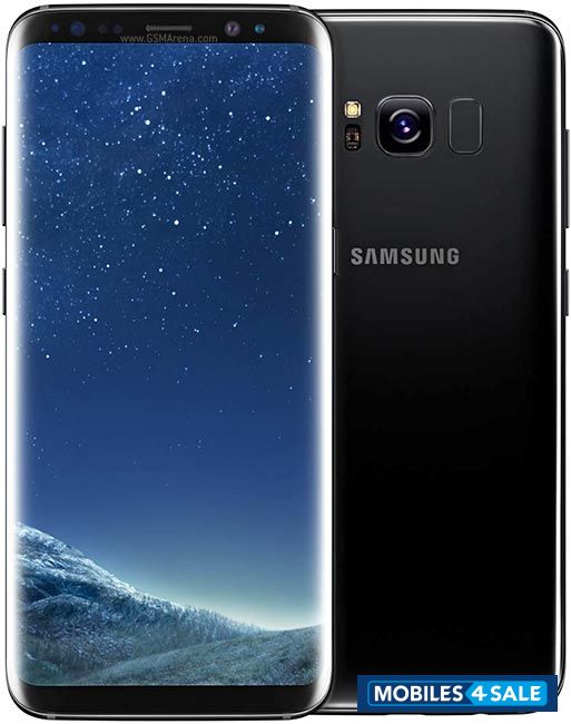 Samsung  Samsung Galaxy S8 (Dual Sim)