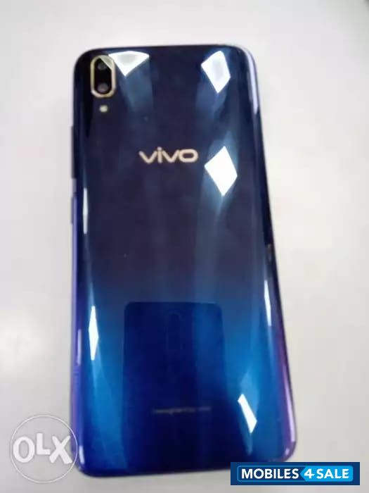 Vivo  v110  pro