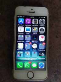 Apple  iphone 5s