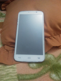 Panasonic P31
