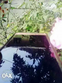 Coolpad  note 5 lite