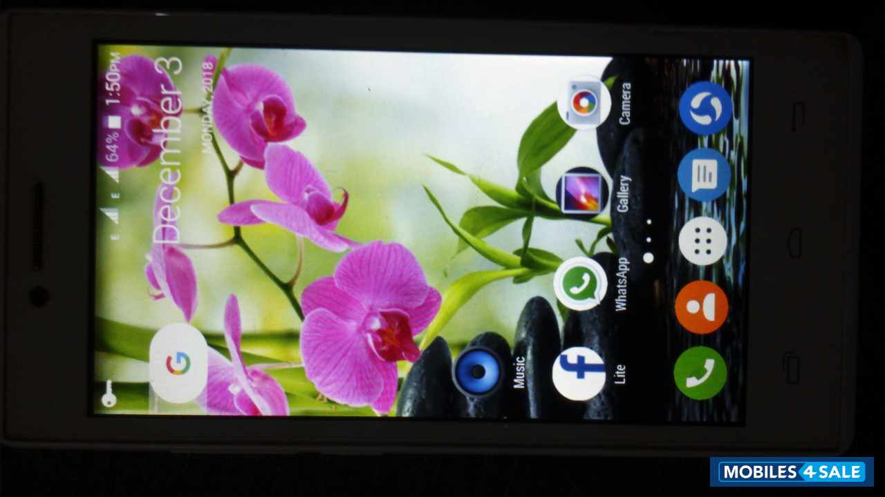 White Intex  CLOUD Q 5