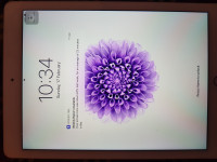 Apple Ipad air 2