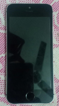 Grey Apple iPhone 5S