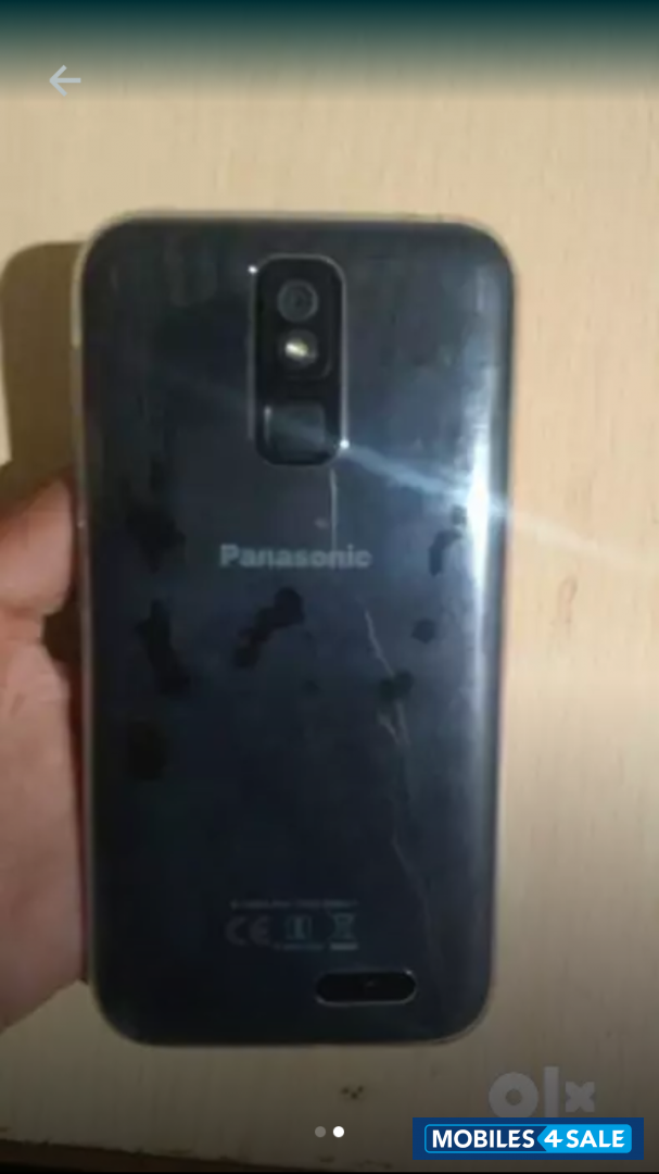 Panasonic  P100