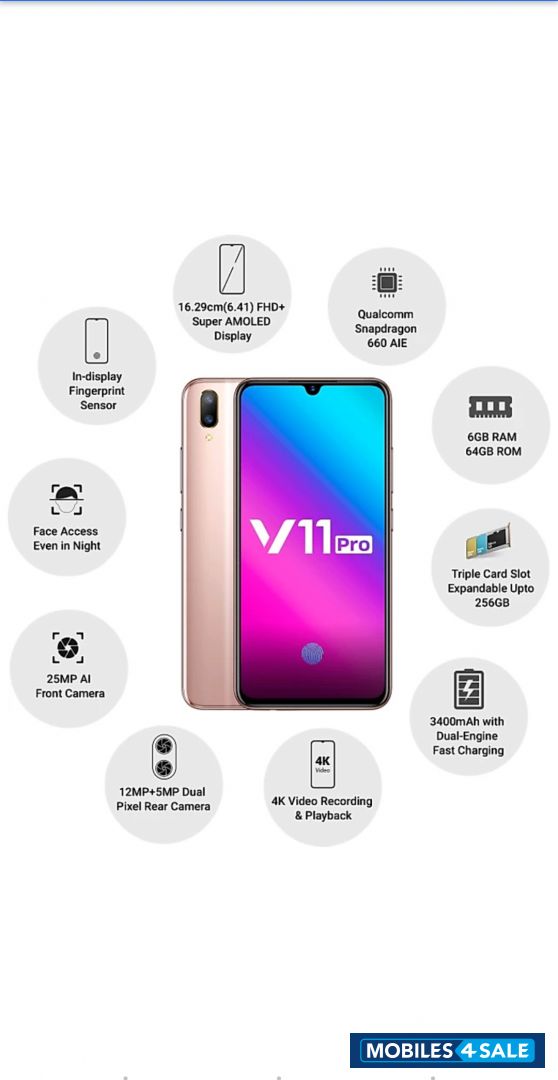 Stary Gold Vivo V-series V11 pro