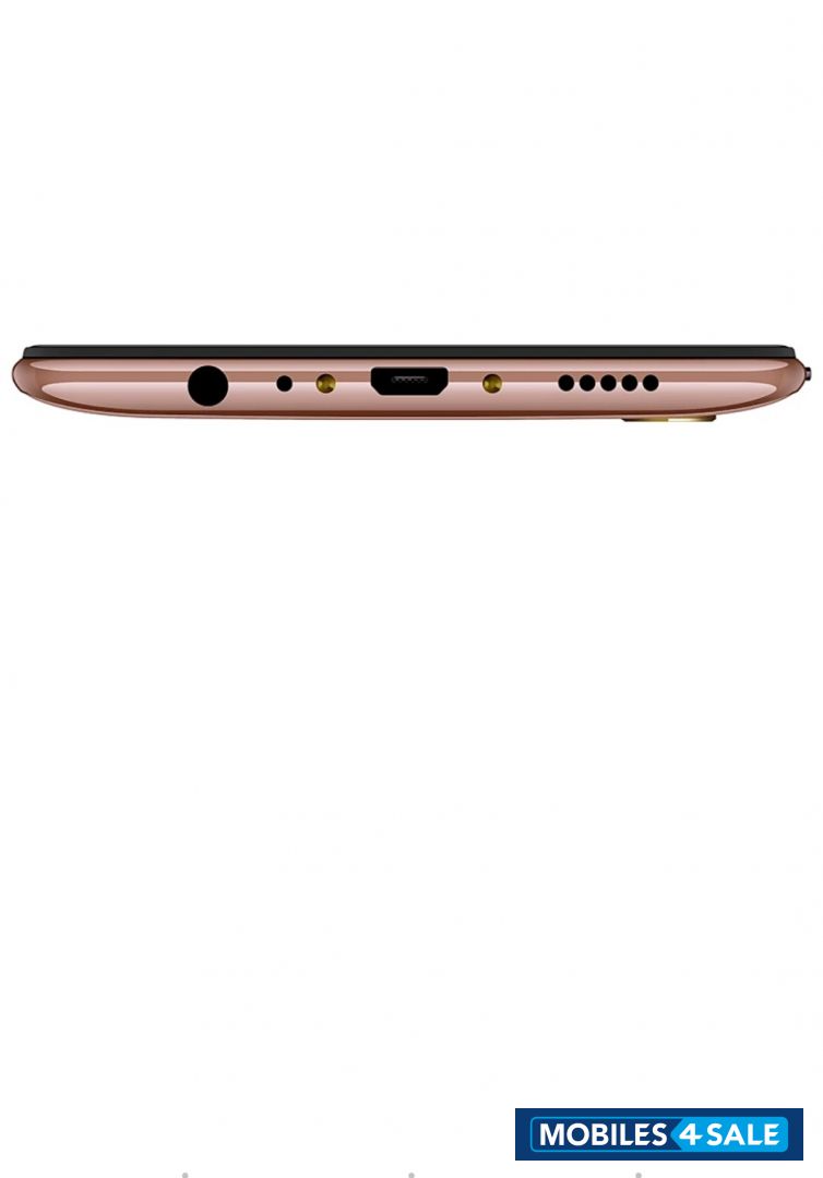 Stary Gold Vivo V-series V11 pro