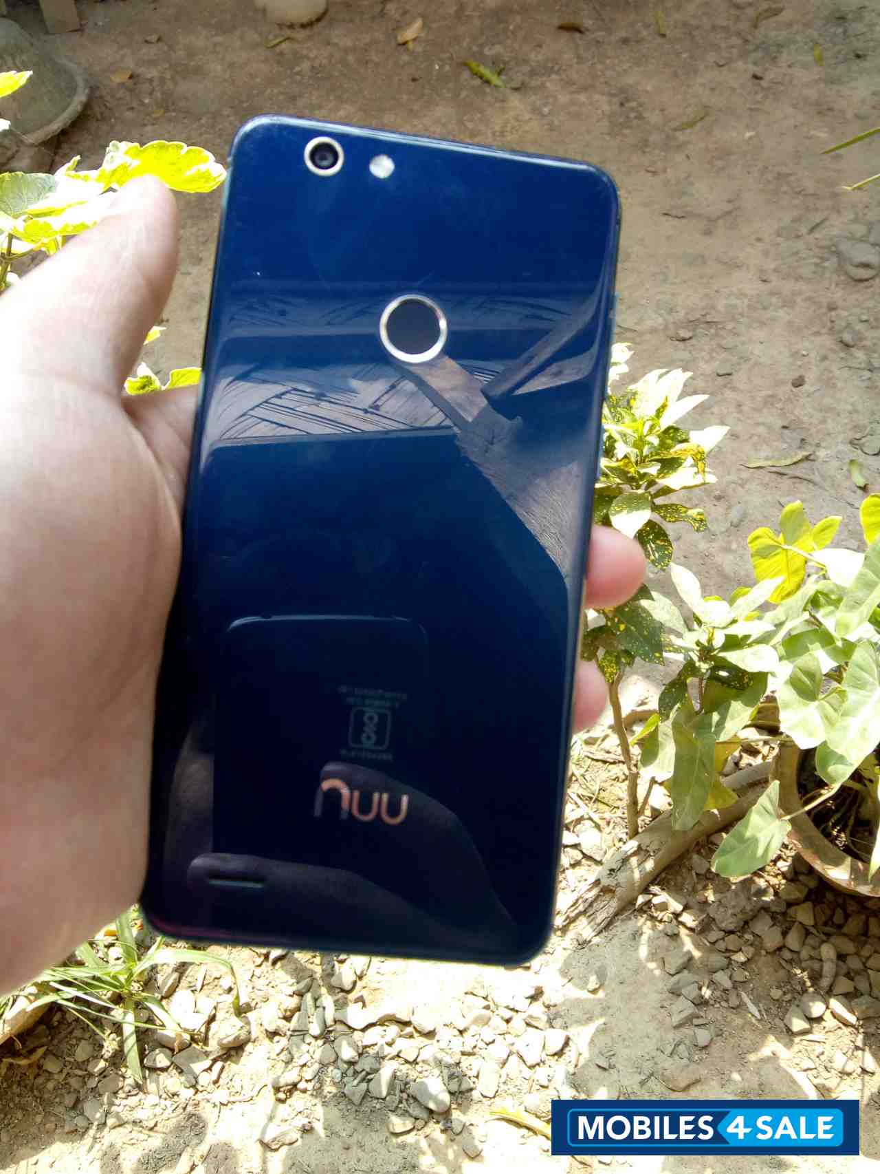 Nuu  Q626