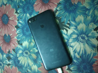 Xiaomi  A1