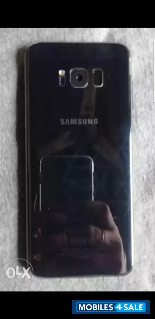Samsung  Samsung Galaxy S8 plus