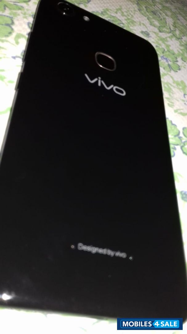 Vivo  vivo y81