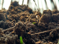 Black Motorola  Xt1562