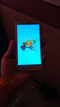 Motorola  C plus