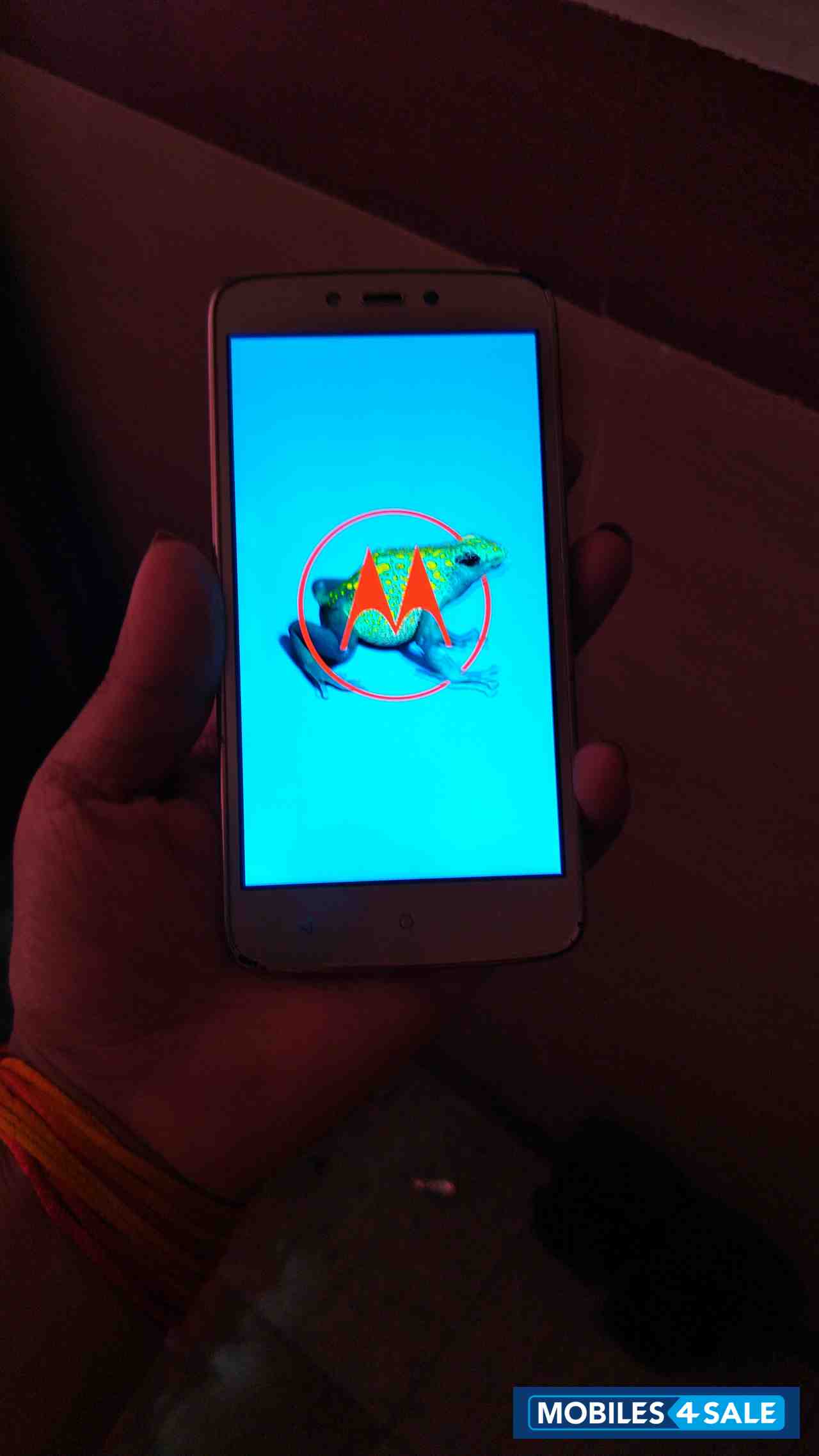 Gold Motorola  C plus