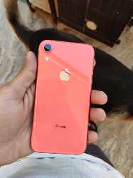 Apple  Iphone xr 64gb