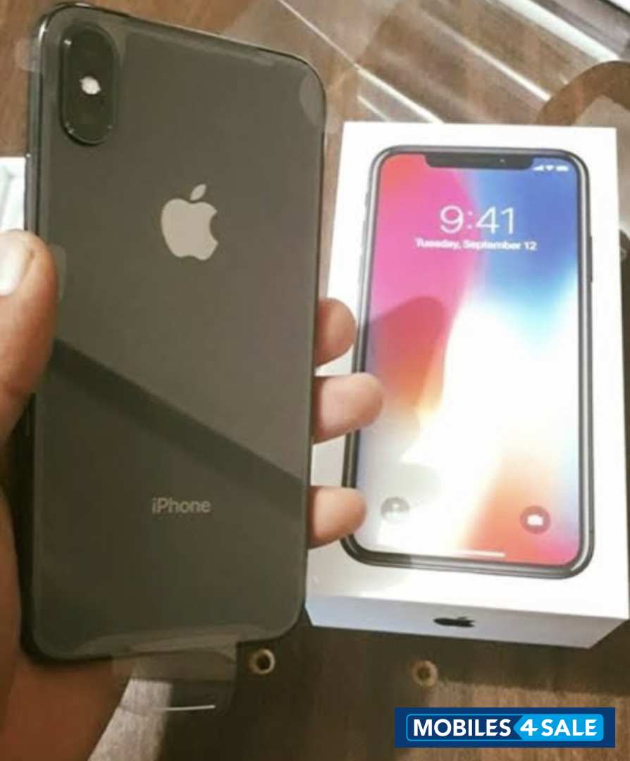 Apple  Iphone X (64gb)