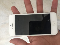 Apple  5s 16gb