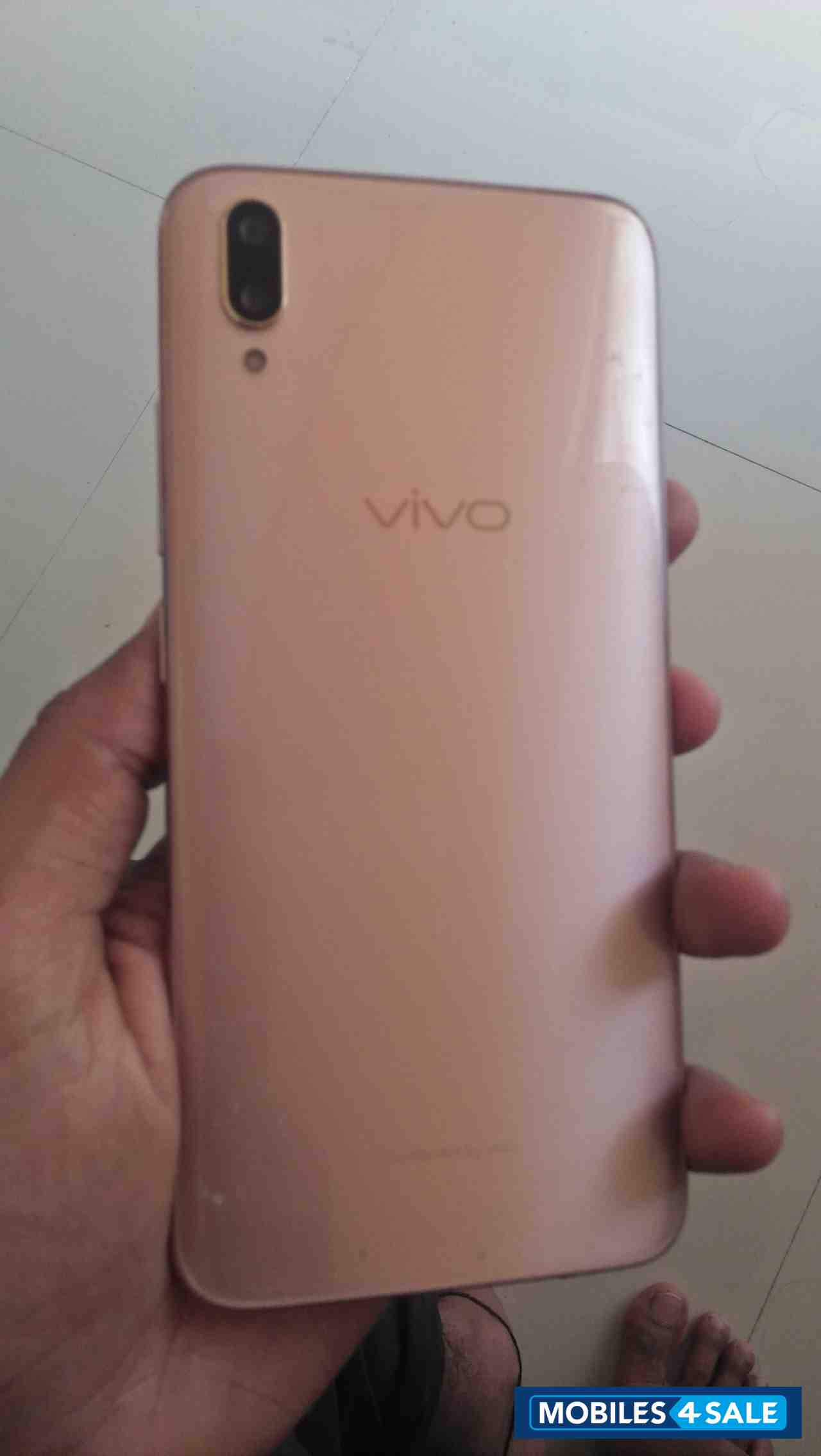 Vivo  Vivo pro