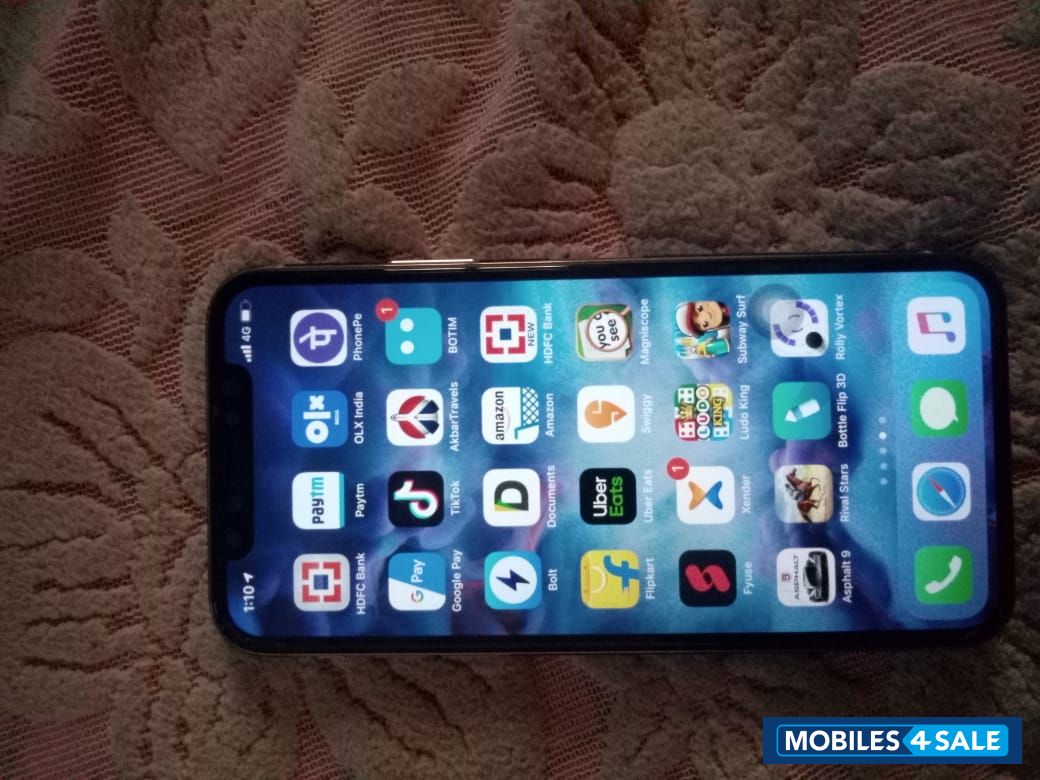 Silver Apple  Iphone x