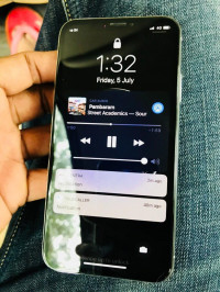 Silver Apple  IPHONE X