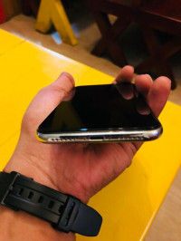 Silver Apple  IPHONE X