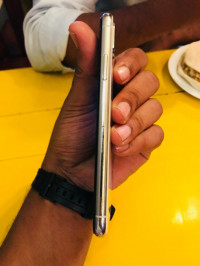 Silver Apple  IPHONE X
