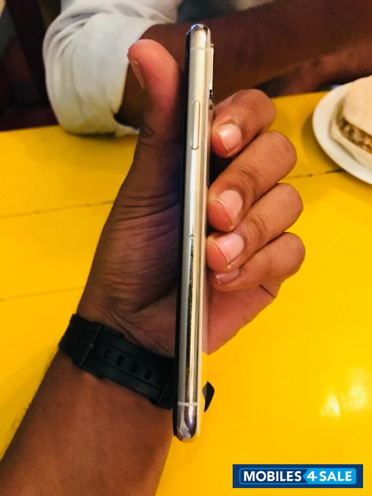 Silver Apple  IPHONE X