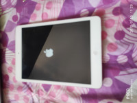 Apple  IPAD Mini