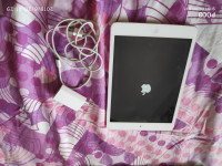 Apple  IPAD Mini