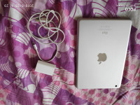 Apple  IPAD Mini