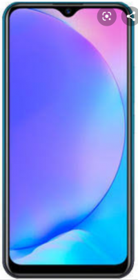 Vivo  Vivoy17