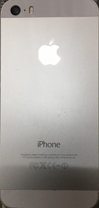 Apple  5s