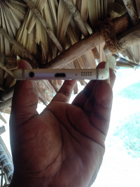 Samsung  Galaxy S6 Edge