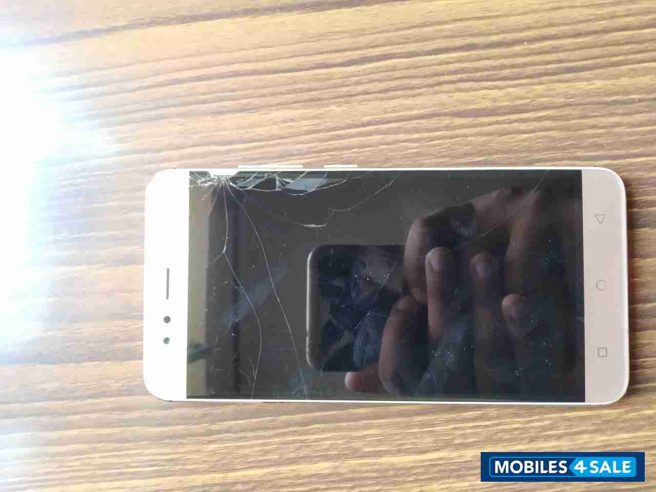 Glittering Gold InFocus Turbo 5