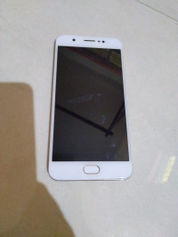 Vivo vivo y69