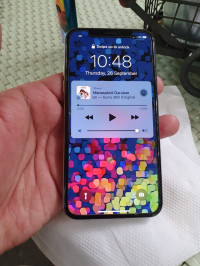 Apple  Iphone x