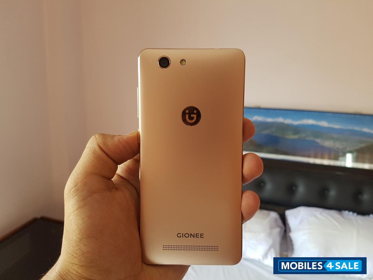 Golden Gionee F103 Pro
