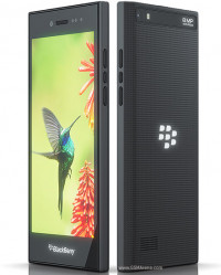 India Grey BlackBerry Leap