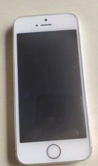 Apple  iPhone 5s- 8GB