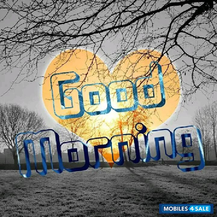 White Apple iPhone 5S