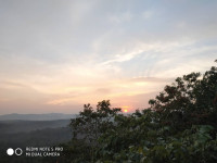 Xiaomi  Redmi note 5 pro