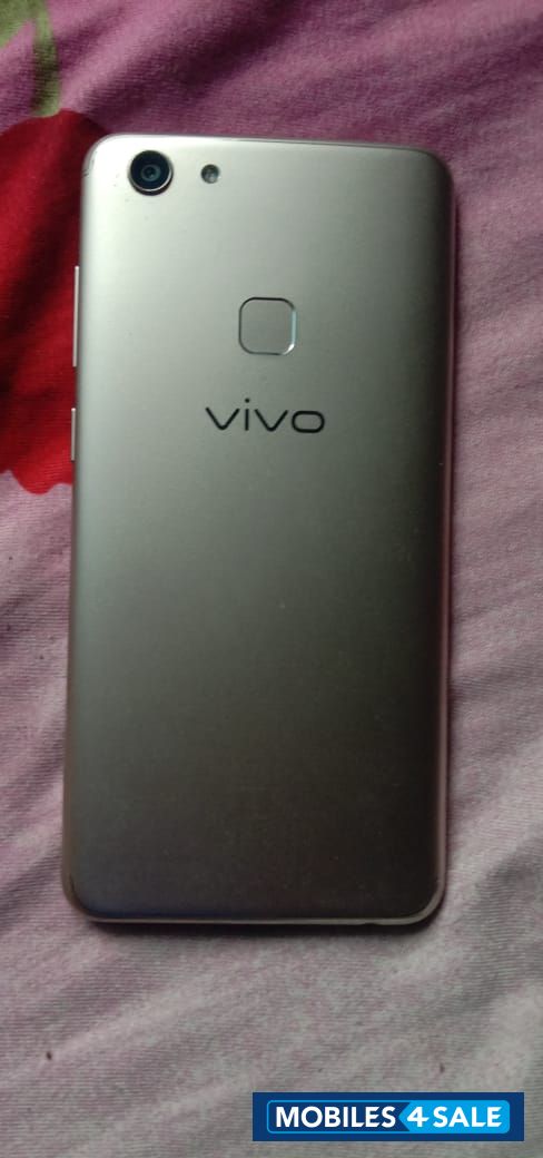 Vivo  V7